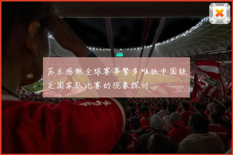 苏东感慨全球赛事繁多唯独中国缺乏国家队比赛的现象探讨
