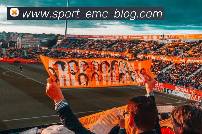 易倍体育APP 封面图